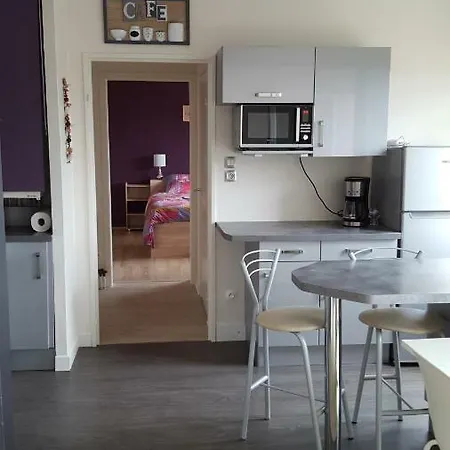 Apartment Le Pigeon Voyageur Colmar